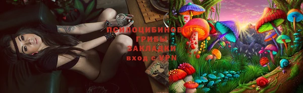 а пвп мука Белокуриха