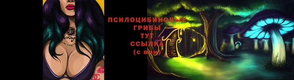 стафф Белоозёрский
