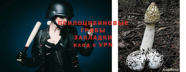стафф Белоозёрский