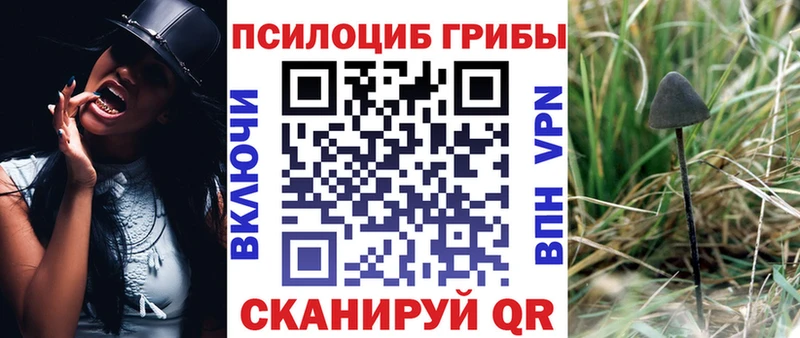 Галлюциногенные грибы мухоморы  цены   Дмитриев 